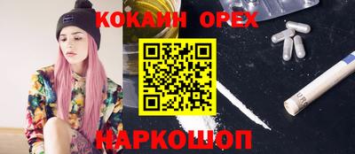 крисы Заводоуковск
