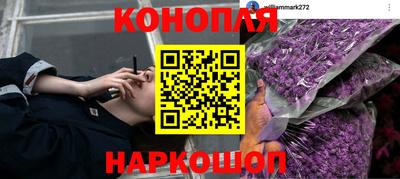 крисы Заводоуковск
