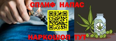 крисы Заводоуковск