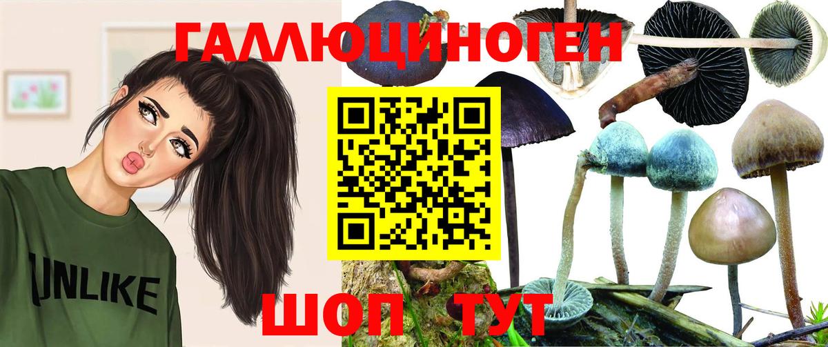 Псилоцибиновые грибы Magic Shrooms Камышлов