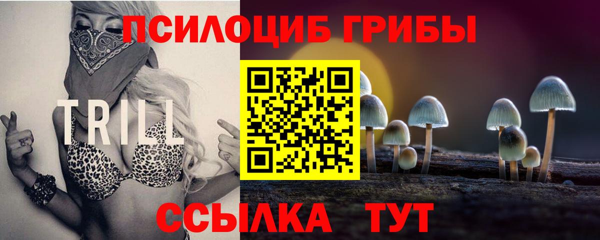 Псилоцибиновые грибы ЛСД  Вход с VPN  Галлюциногенные грибы ЛСД  как найти закладки  Камышлов 